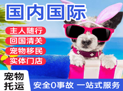 敦煌莫高航空运输国际宠物托运 【国